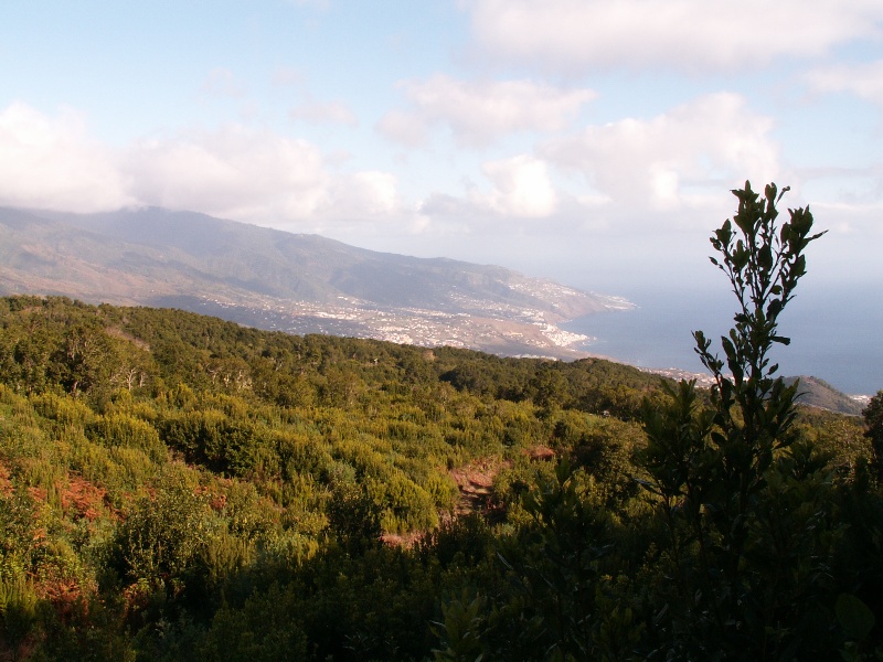 La Palma-038