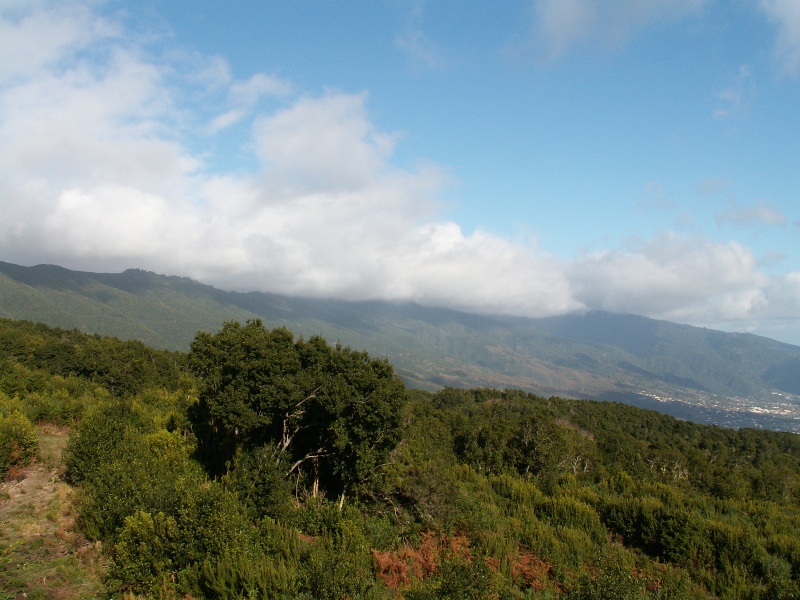 La Palma-040