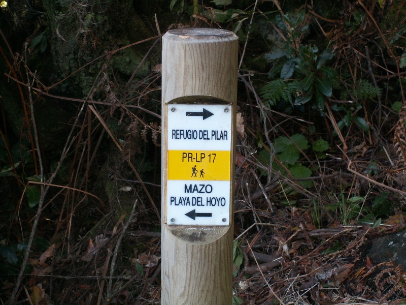 La Palma-042