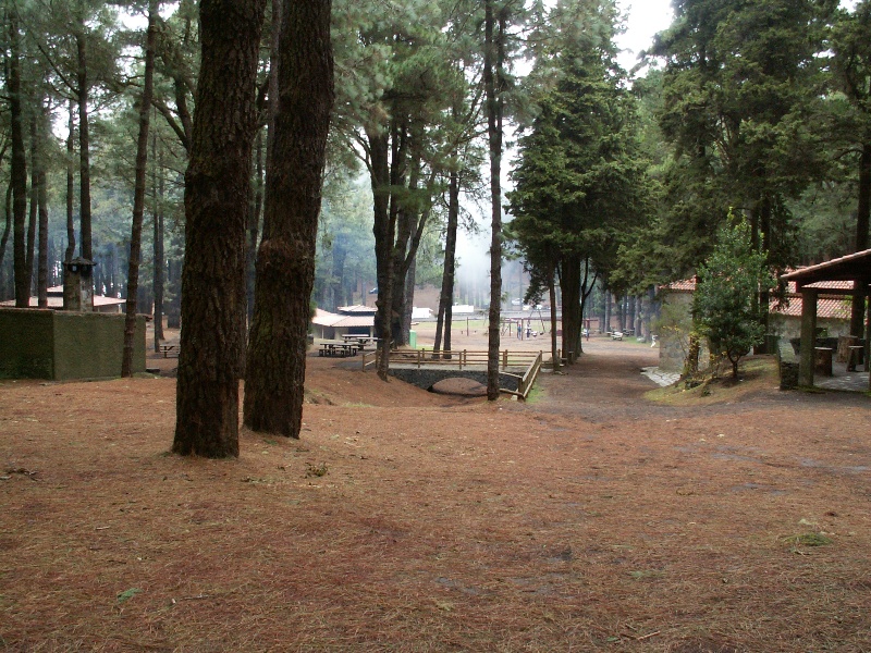 La Palma-055