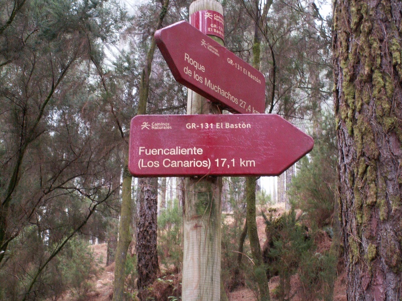 La Palma-058