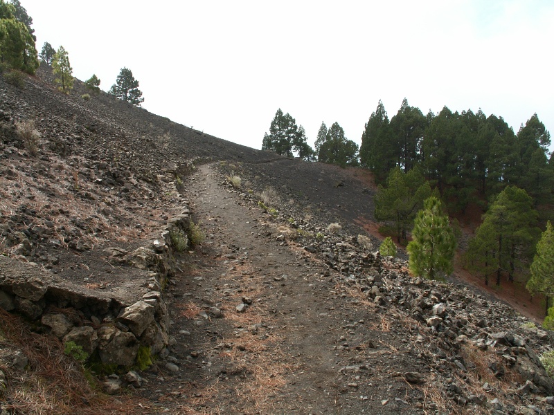 La Palma-063