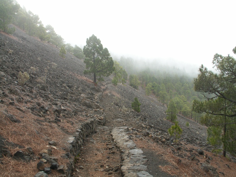 La Palma-068