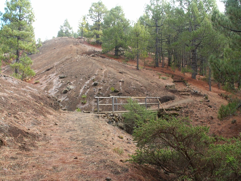 La Palma-078