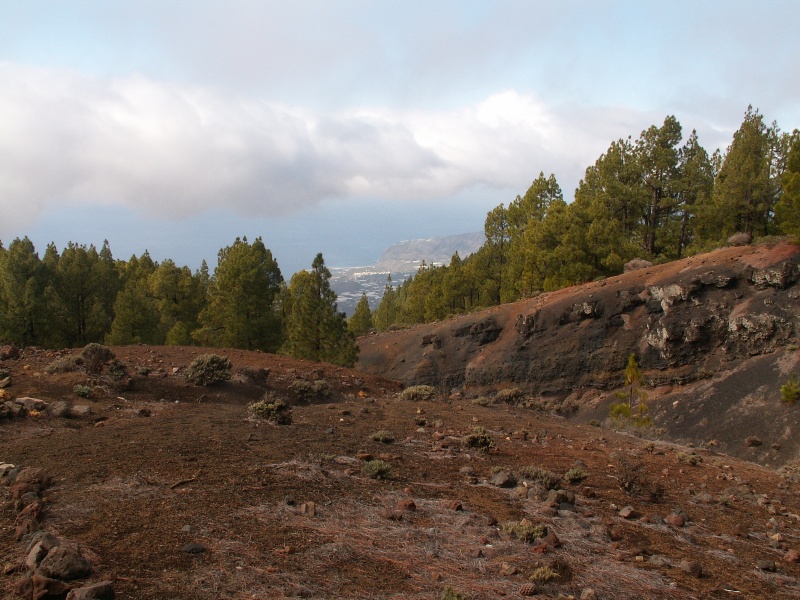 La Palma-085