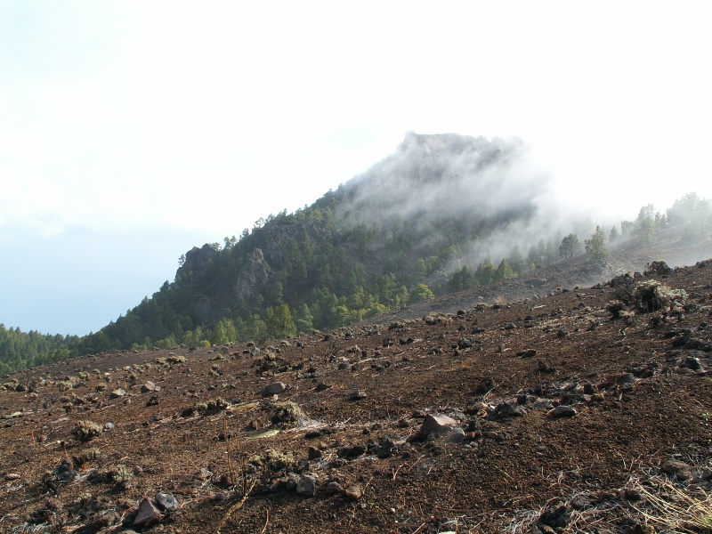 La Palma-087