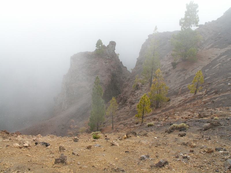 La Palma-102