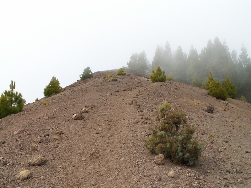 La Palma-109