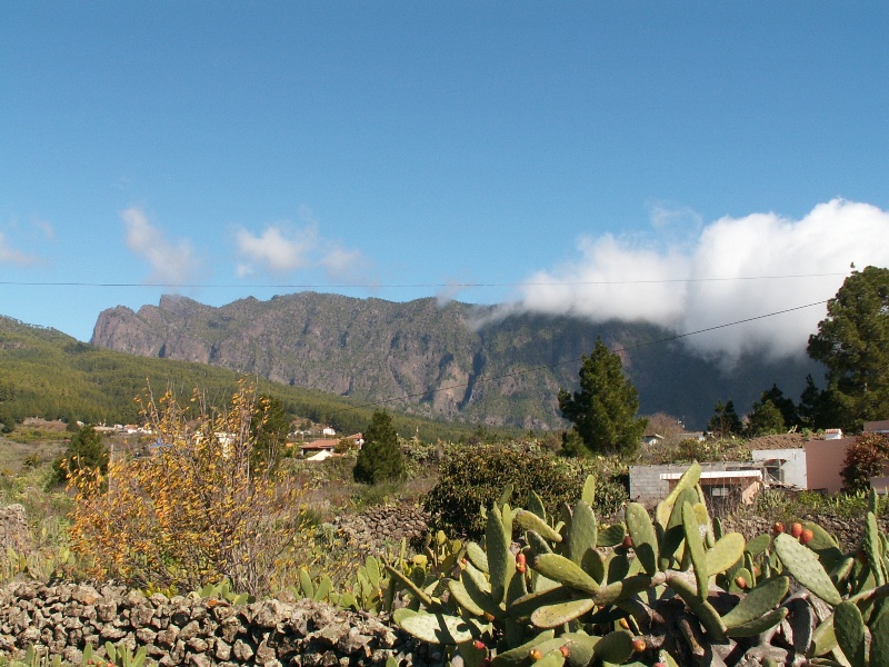 La Palma-169
