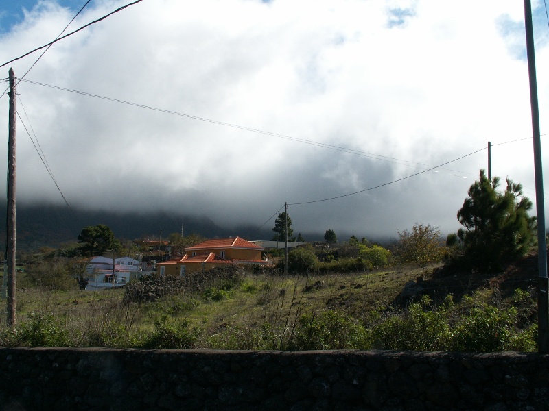 La Palma-171