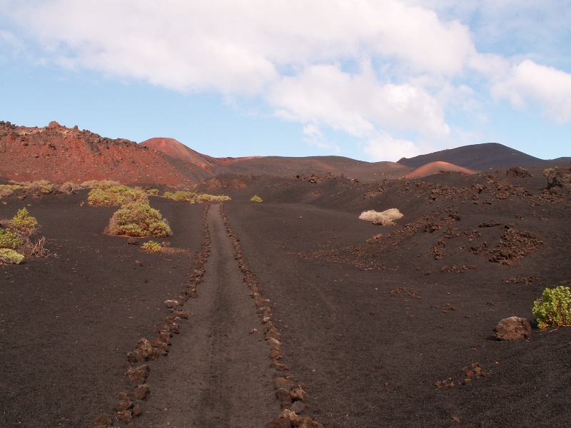 La Palma-201