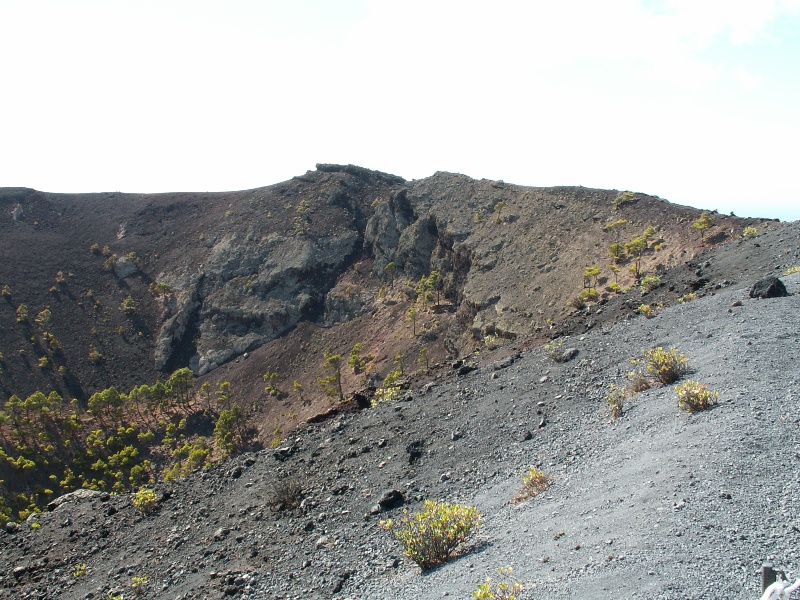 La Palma-215